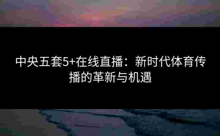 中央五套5+在线直播：新时代体育传播的革新与机遇